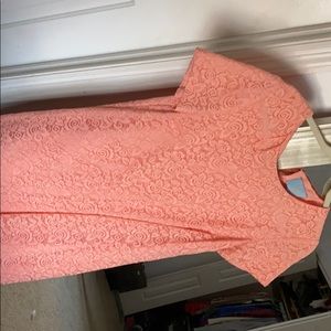 Beautiful light pink lace CeCe dress
